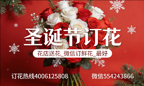���ݸ����ػ���