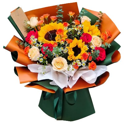 ���ݸ����ػ���